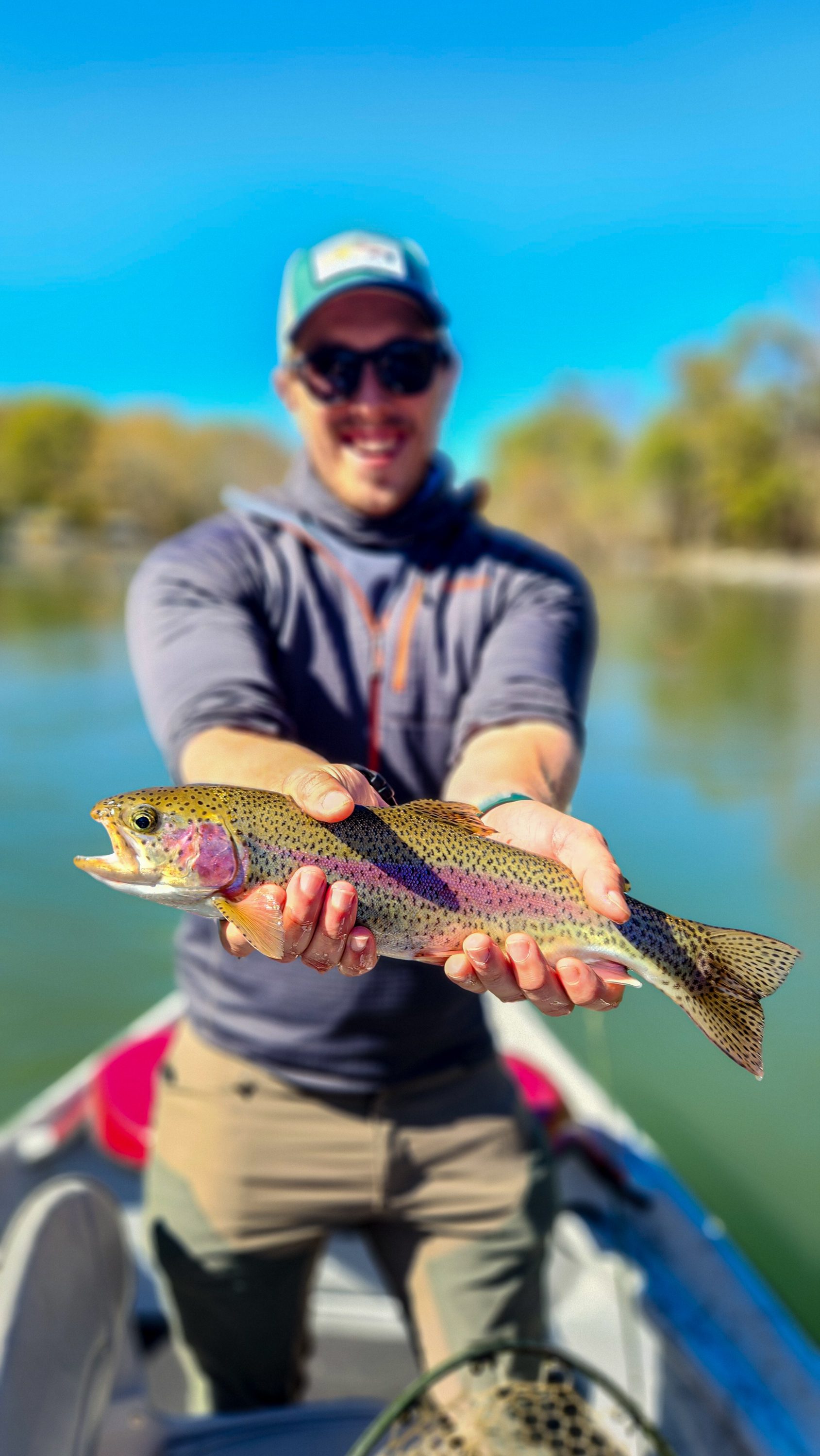Rainbow trout caught fly fishing the beautiful South Holston River