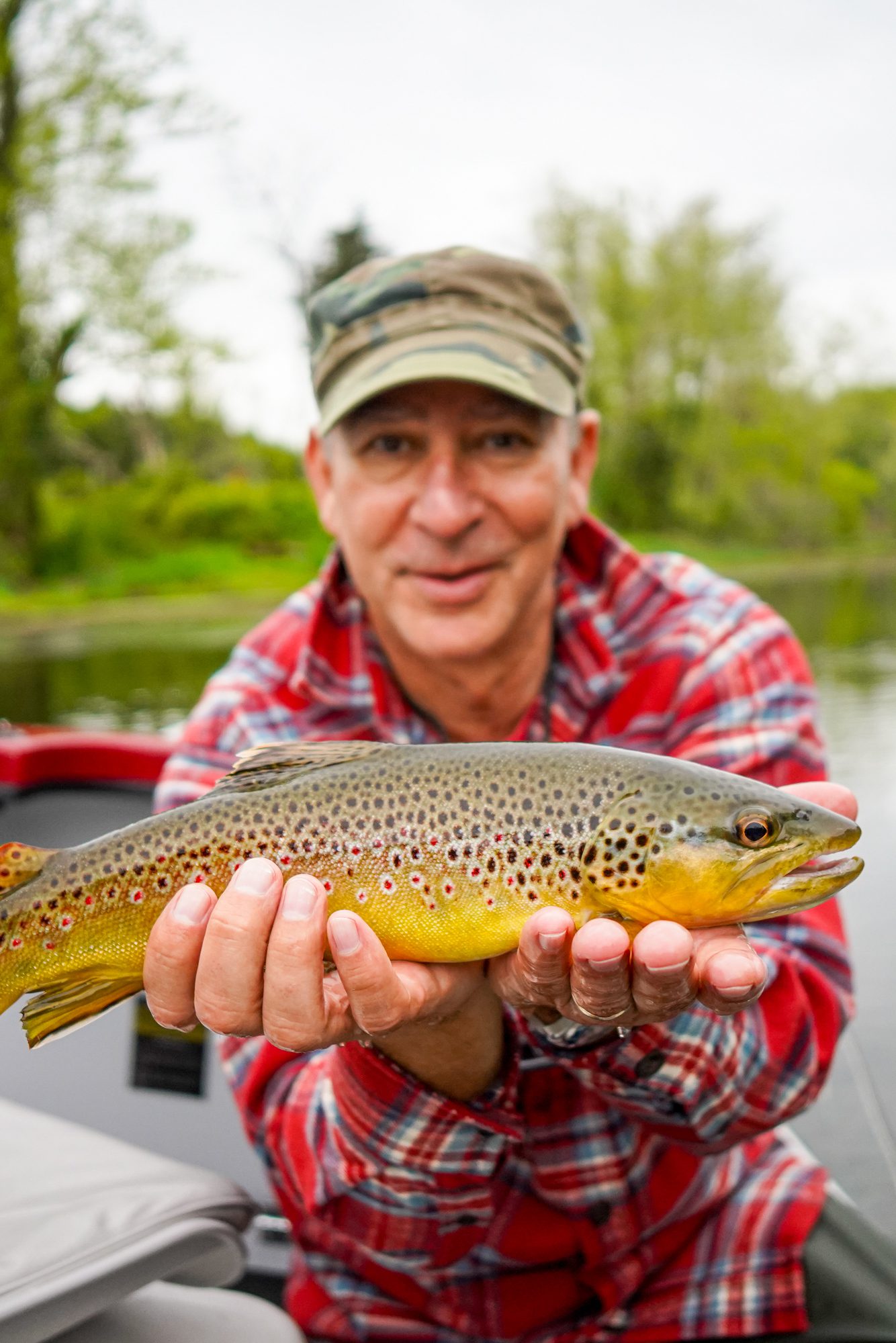 Beautiful South Holston River brown trout