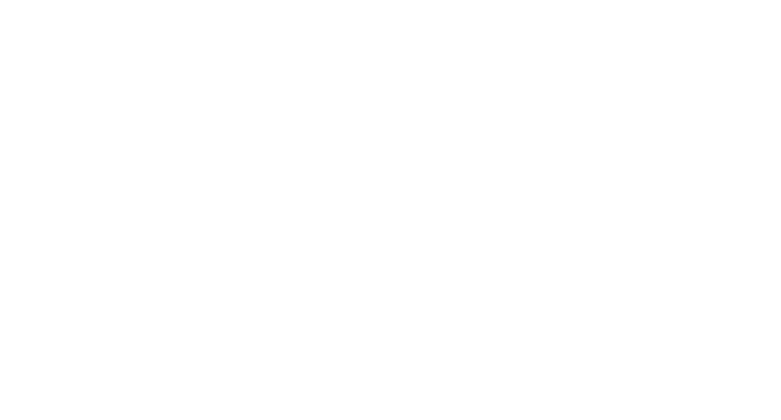 High Flying Flies Guide Service Logo