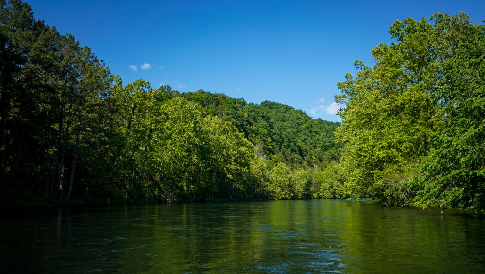 fly fishing guide South Holston River